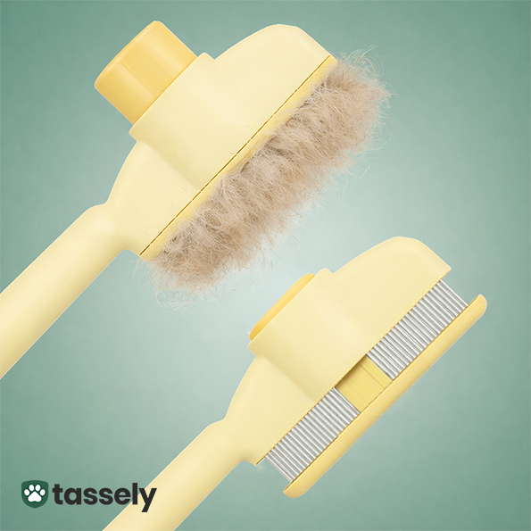 Självrengöring med ett klick –