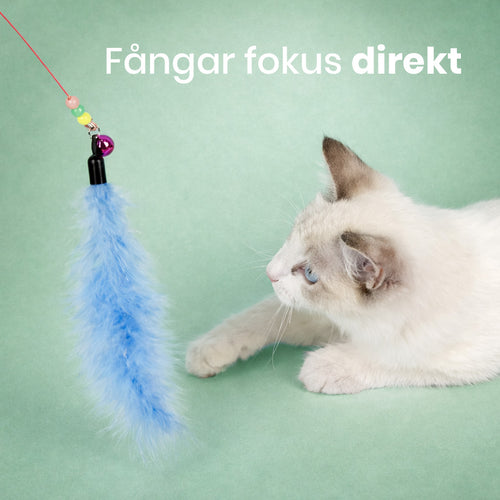 Fjädervippa - Väcker leken varje dag