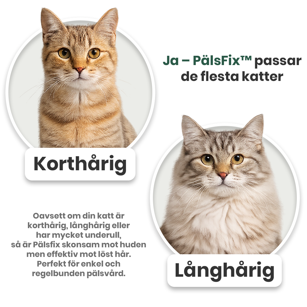 Passar den min katt?