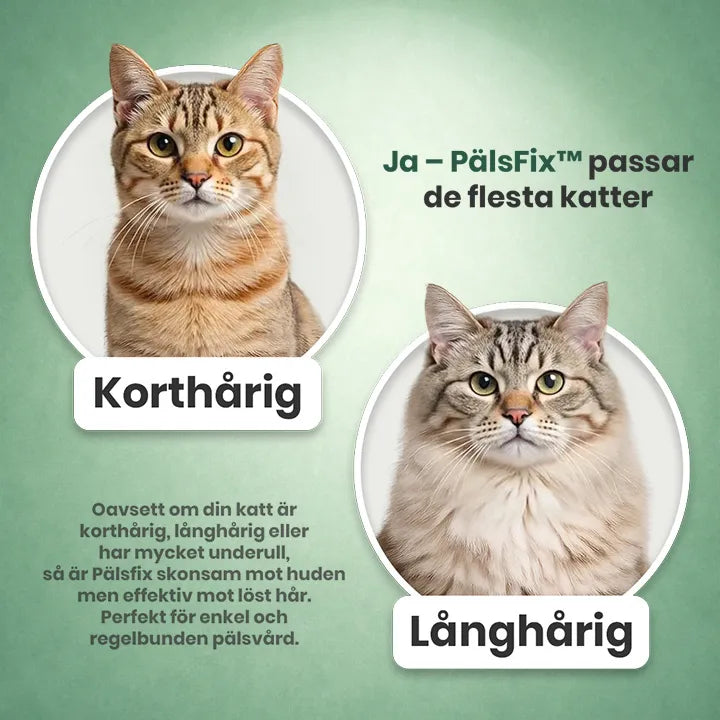 PälsFix™ – Enklare pälsbyte för dig och din katt