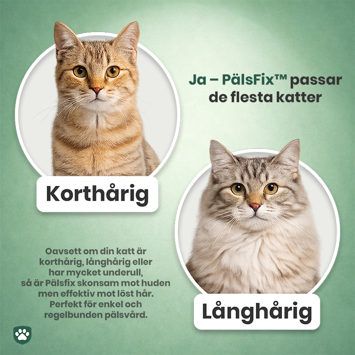 PälsFix™ – Enklare pälsbyte för dig och din katt