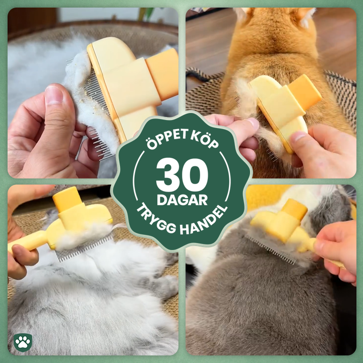 PälsFix™ – Enklare pälsbyte för dig och din katt